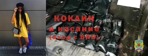 крисы Абаза