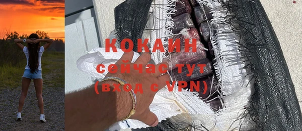 крисы Абаза