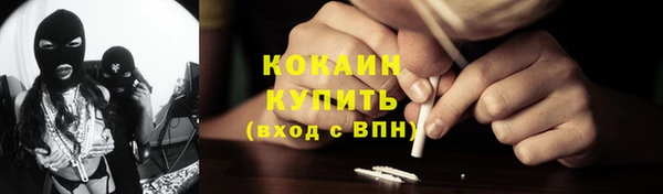 крисы Абаза
