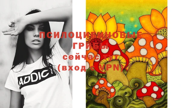 тгк Абинск