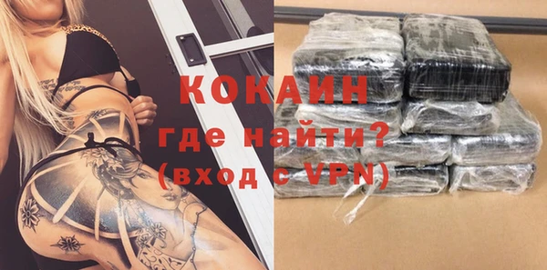 крисы Абаза