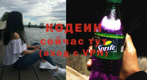 крисы Абаза