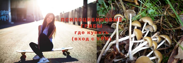 тгк Абинск