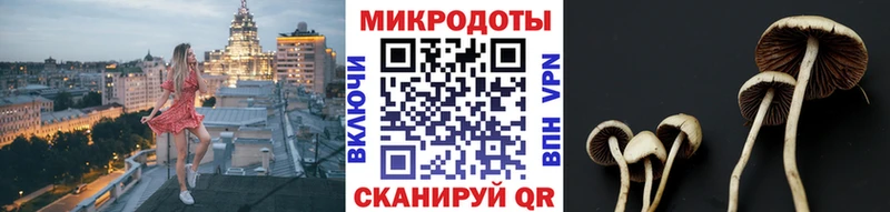 Псилоцибиновые грибы Magic Shrooms  блэк спрут онион  Саранск 