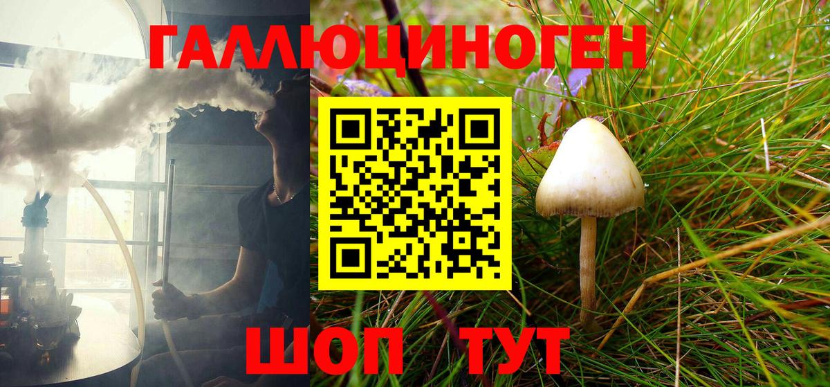 Псилоцибиновые грибы Magic Shrooms  Вход с VPN  Саранск  купить наркоту  Галлюциногенные грибы прущие грибы 